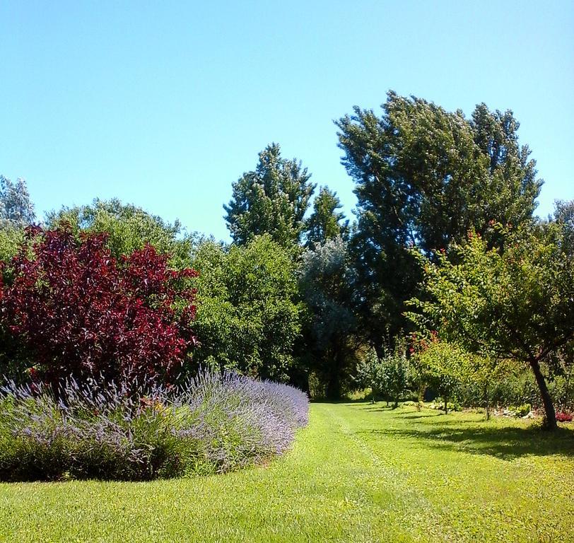 Ca Morari Bed and Breakfast Argenta Εξωτερικό φωτογραφία