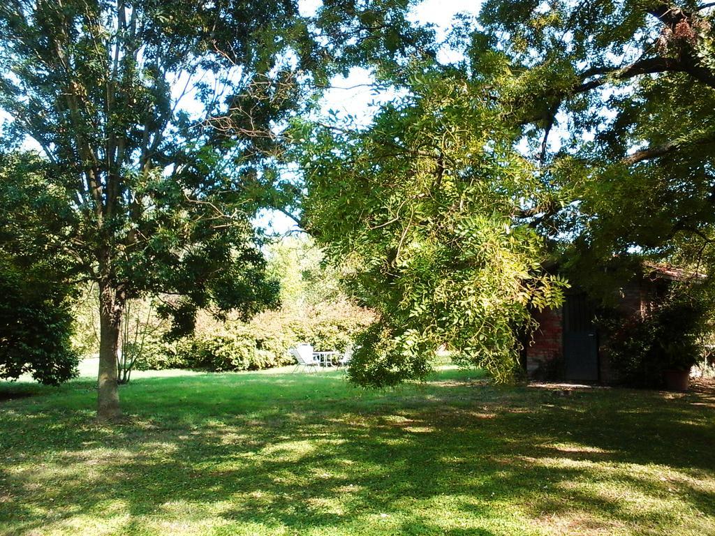 Ca Morari Bed and Breakfast Argenta Εξωτερικό φωτογραφία