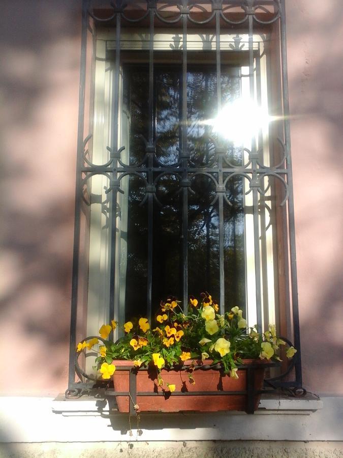 Ca Morari Bed and Breakfast Argenta Εξωτερικό φωτογραφία