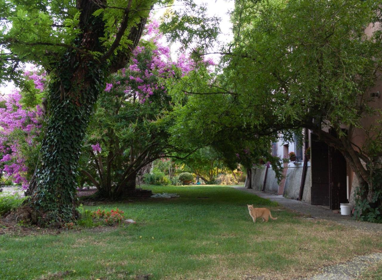 Ca Morari Bed and Breakfast Argenta Εξωτερικό φωτογραφία